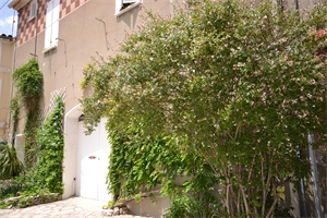 maison-villa à la vente -   34070  MONTPELLIER, surface 95 m2 vente maison-villa - APR737868